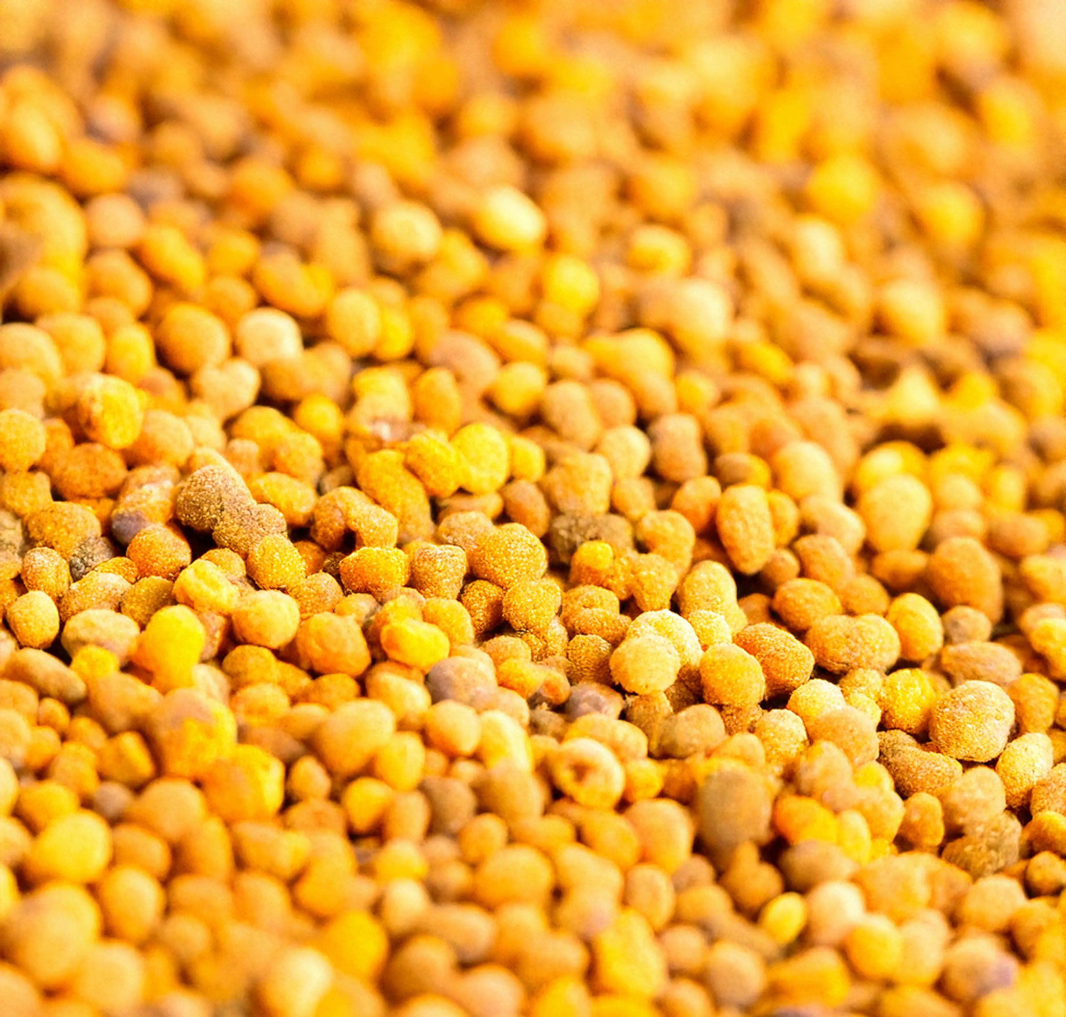 Bee Pollen Hero Background